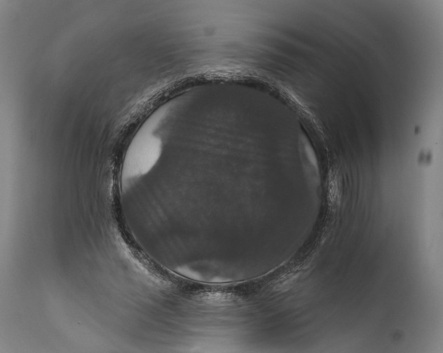 X0000111580637200908061325