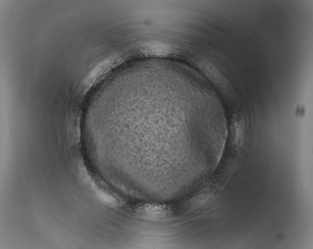 X0000111580638200908061325