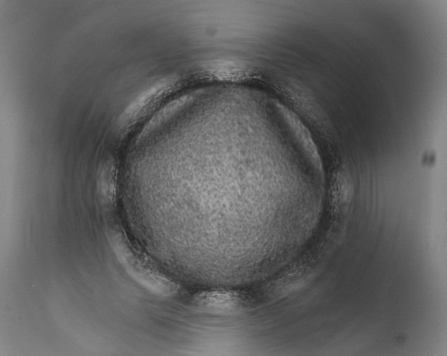 X0000111580639200908061325