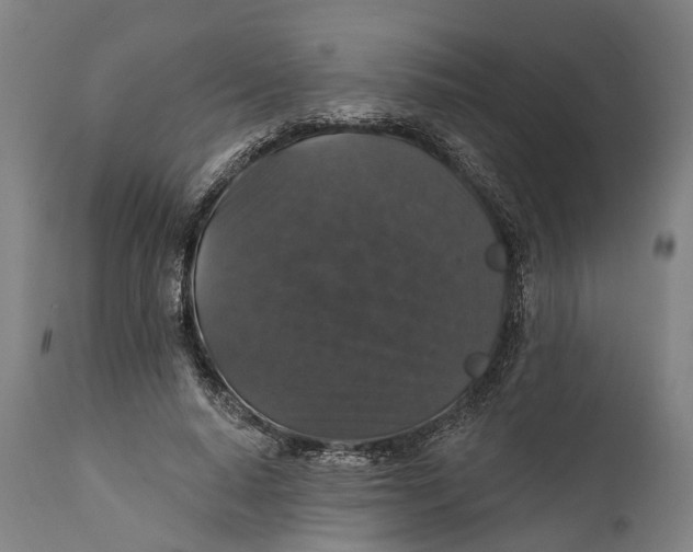 X0000111580640200908061325