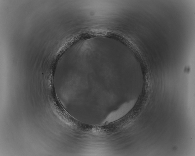 X0000111580641200908061326