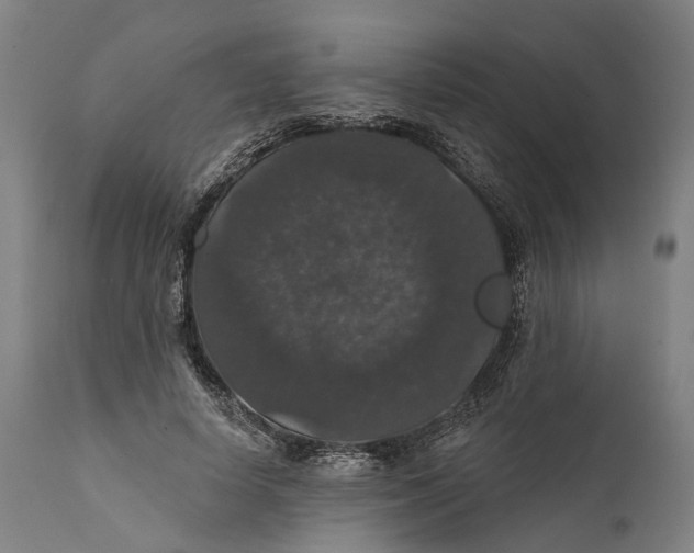 X0000111580642200908061326