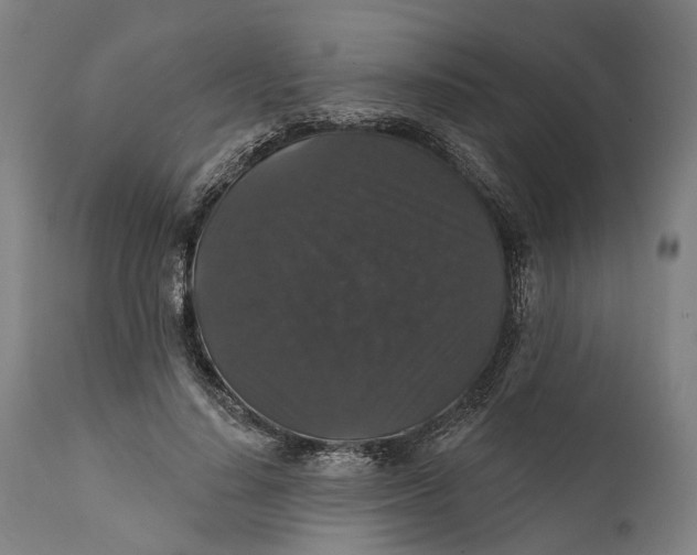 X0000111580644200908061326