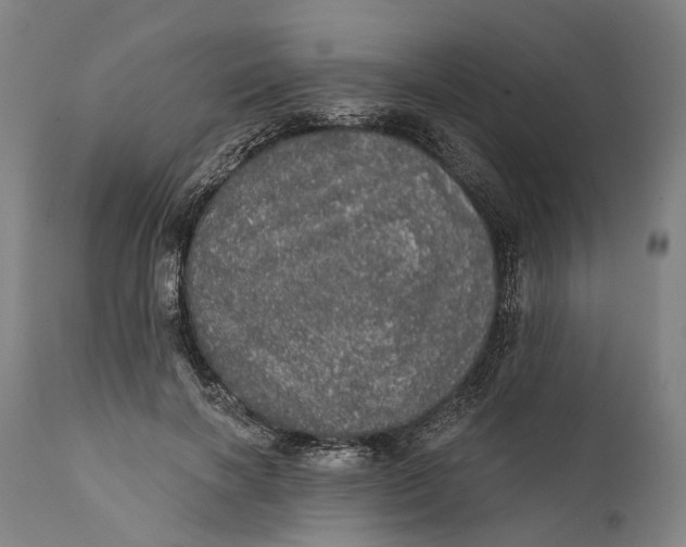 X0000111580646200908061326