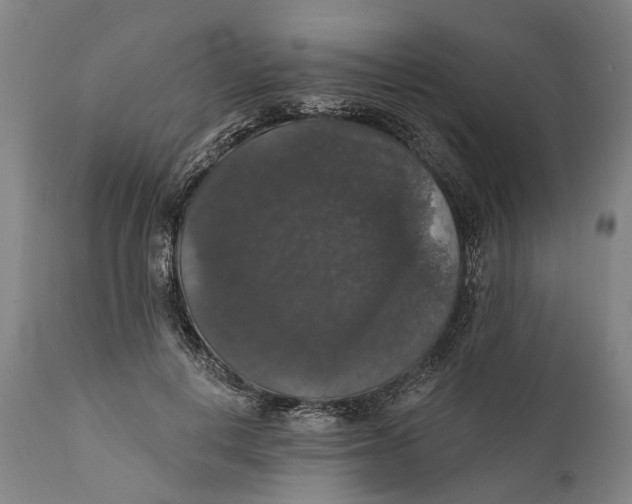 X0000111580648200908061326