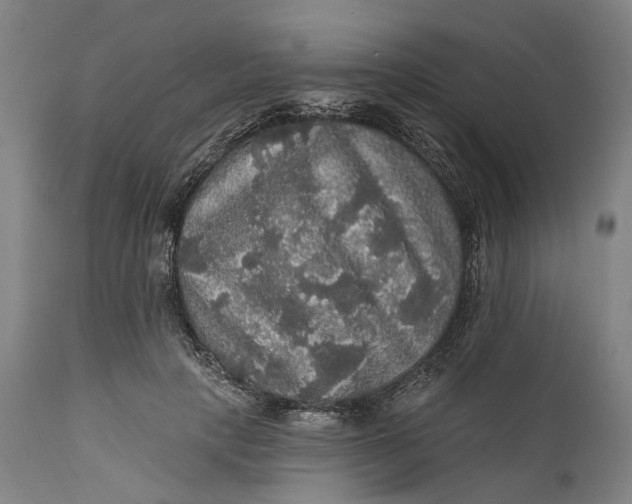 X0000111580649200908061326