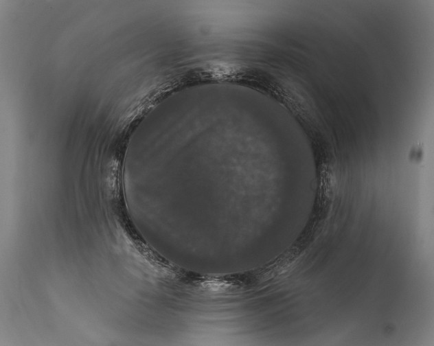 X0000111580650200908061326