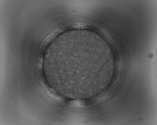 X0000111580652200908061326