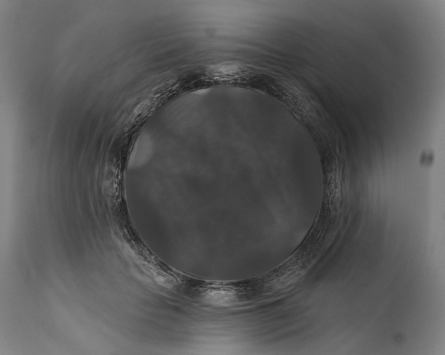 X0000111580653200908061326