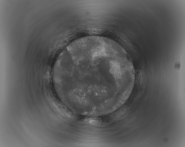 X0000111580655200908061326