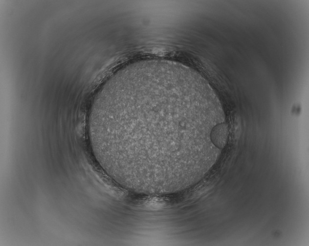 X0000111580656200908061326