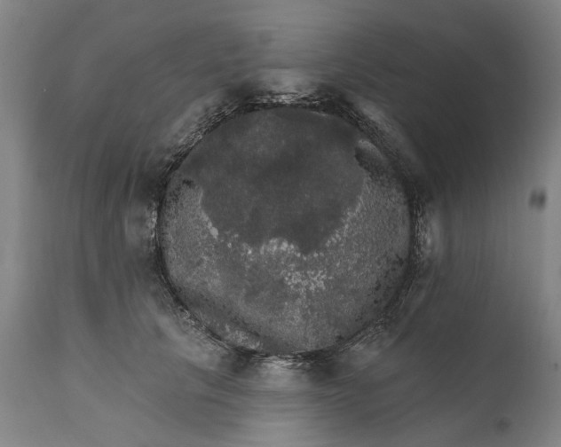 X0000111580657200908061326