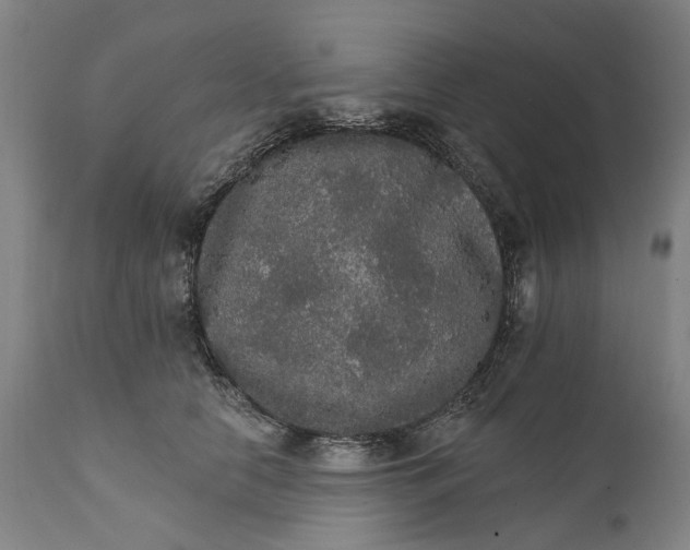 X0000111580658200908061326