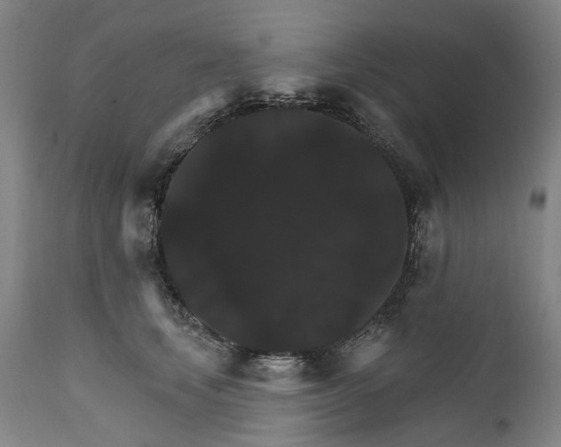 X0000111580659200908061326