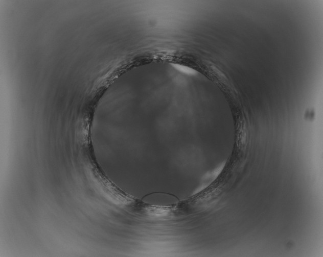 X0000111580661200908061326