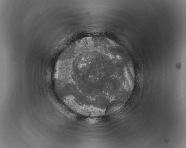 X0000111580662200908061326