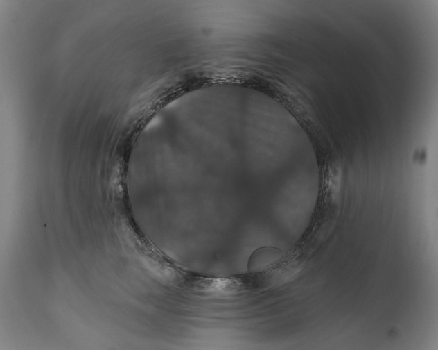 X0000111580663200908061326