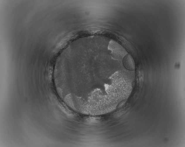 X0000111580664200908061326