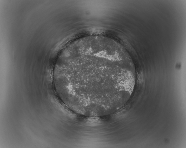 X0000111580666200908061326