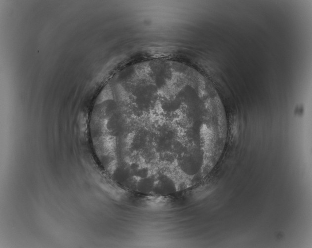 X0000111580667200908061326