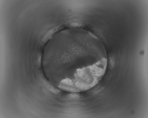 X0000111580668200908061326