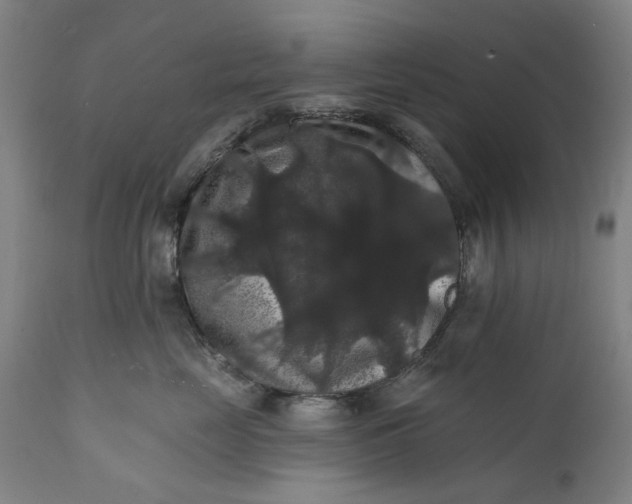 X0000111580669200908061326