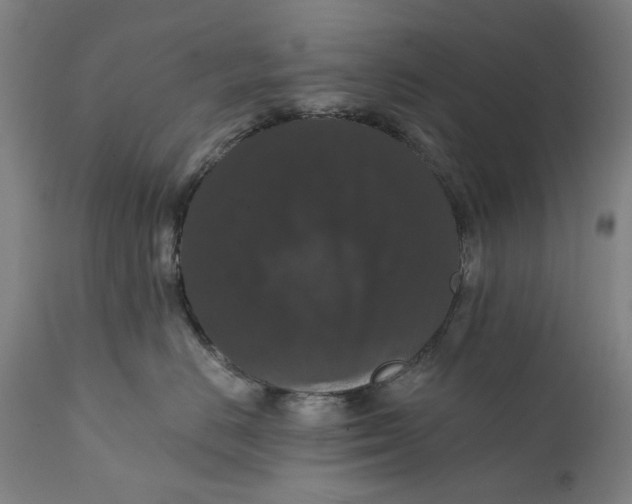 X0000111580670200908061326