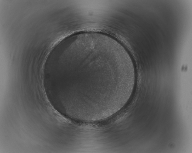 X0000111580673200908061325