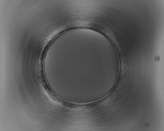 X0000111580674200908061325