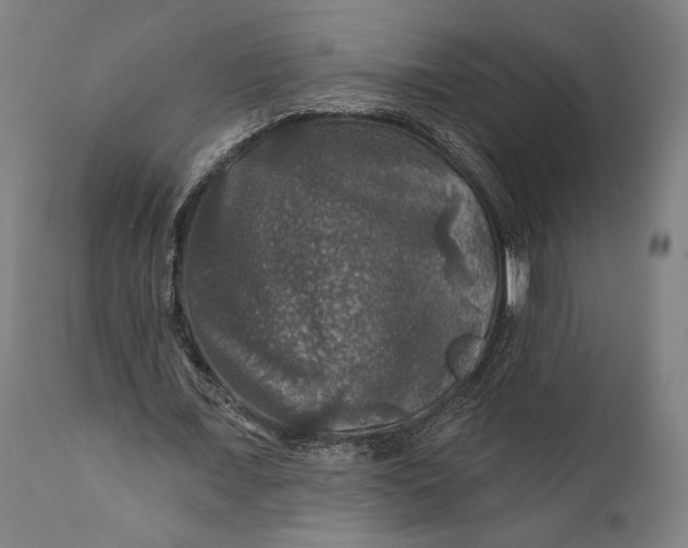 X0000111580675200908061325