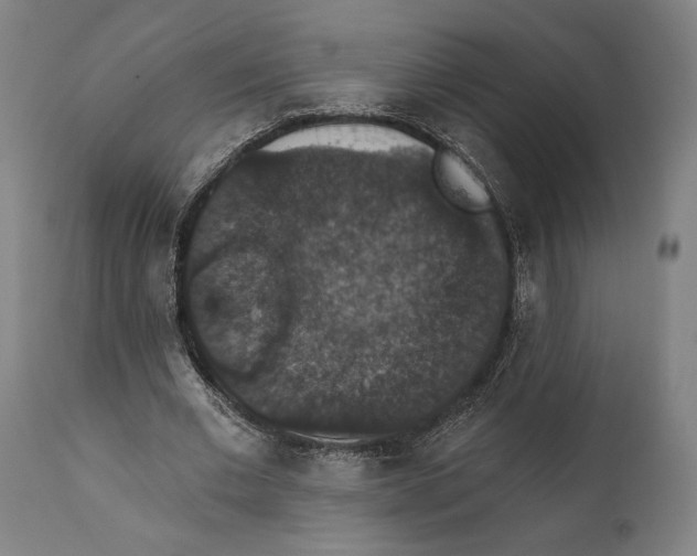 X0000111580677200908061325