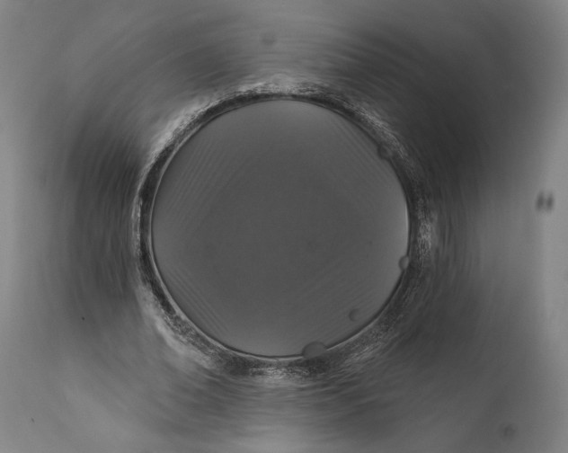 X0000111580678200908061325