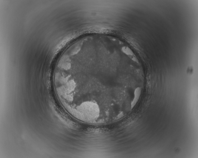 X0000111580679200908061325