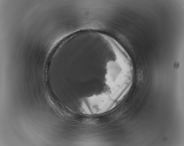 X0000111580680200908061325