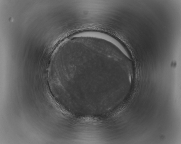 X0000111580681200908061325