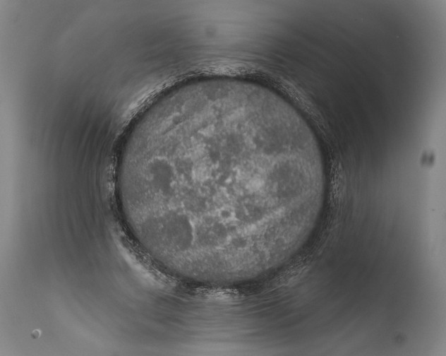 X0000111580683200908061325