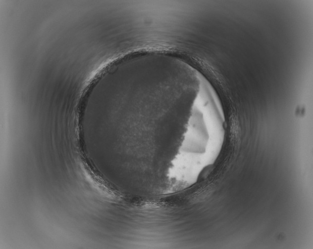 X0000111580684200908061325