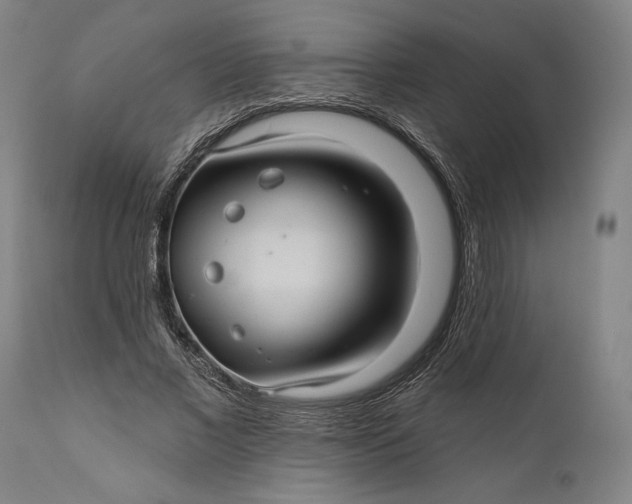 X0000111580685200908061325