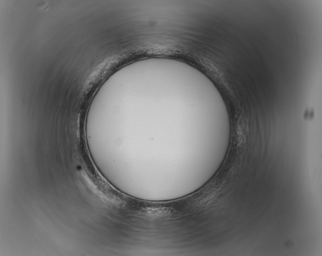 X0000111580686200908061325