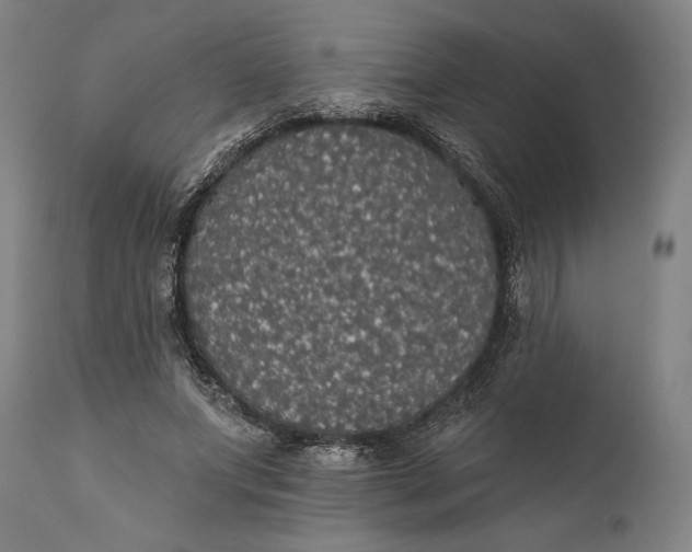 X0000111580687200908061325