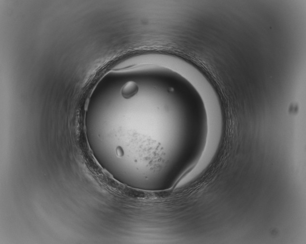 X0000111580688200908061325