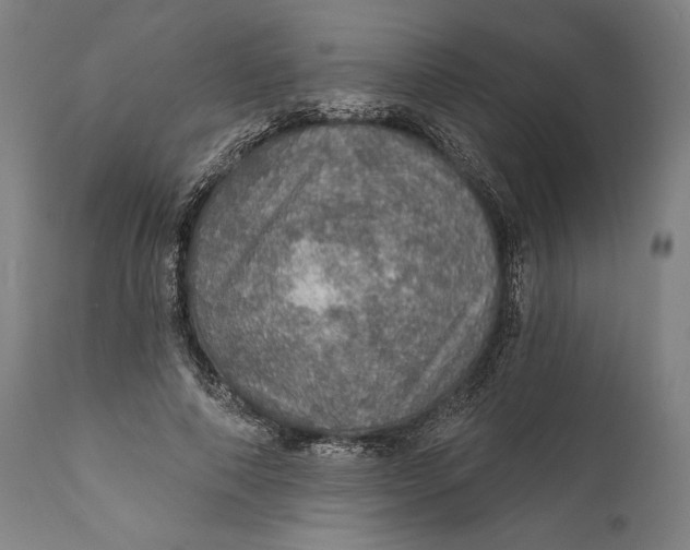 X0000111580690200908061325