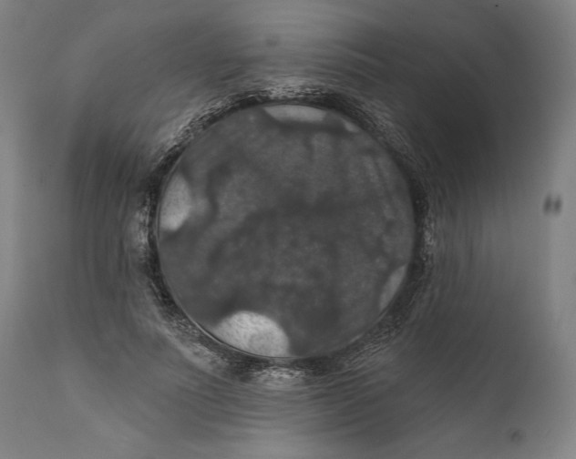 X0000111580691200908061325