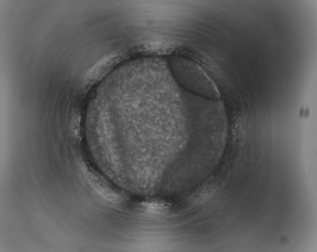 X0000111580693200908061325