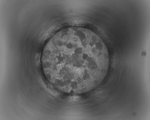 X0000111580695200908061325