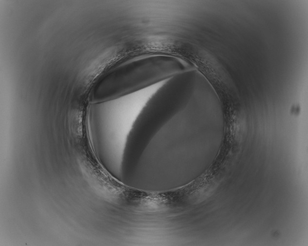 X0000111580696200908061325