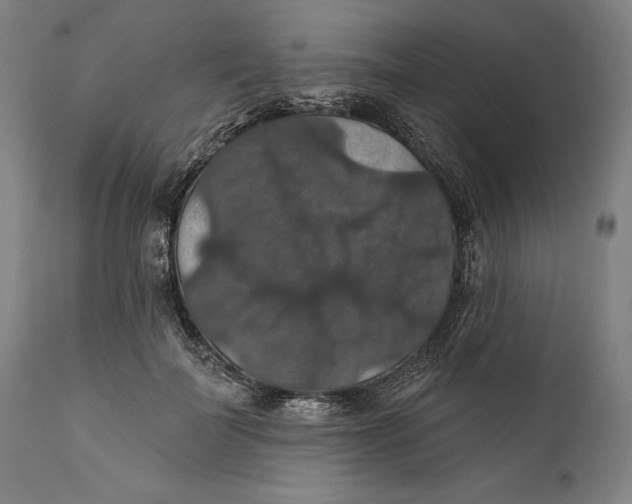 X0000111580699200908061325