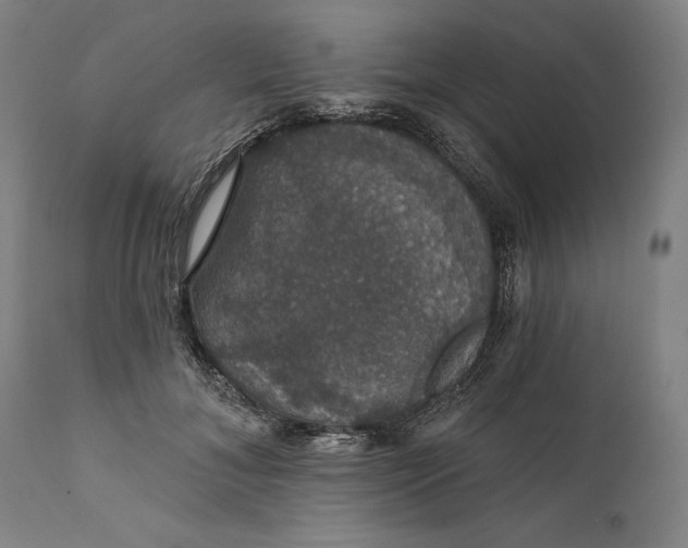 X0000111580700200908061325