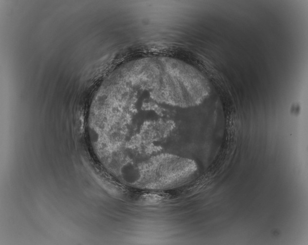 X0000111580703200908061325