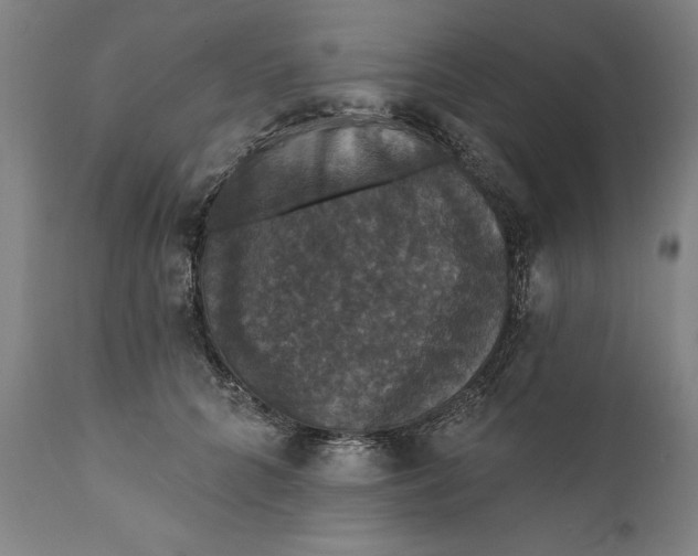 X0000111580704200908061325